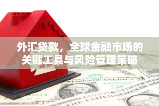 城子河外汇贷款，全球金融市场的关键工具与风险管理策略