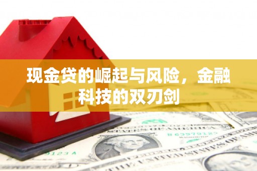 城子河现金贷的崛起与风险，金融科技的双刃剑