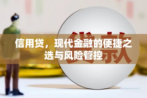 城子河信用贷，现代金融的便捷之选与风险管控