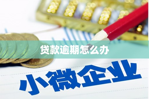 城子河贷款逾期怎么办