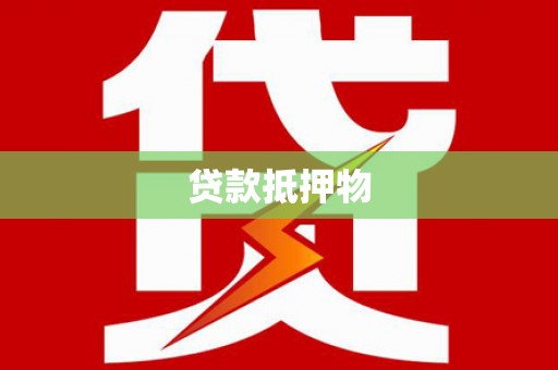 城子河贷款抵押物