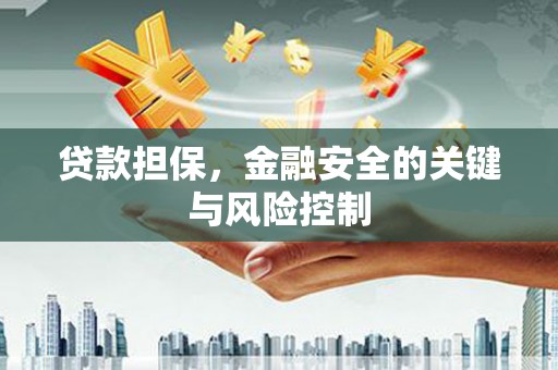 城子河贷款担保，金融安全的关键与风险控制