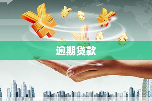 城子河逾期贷款